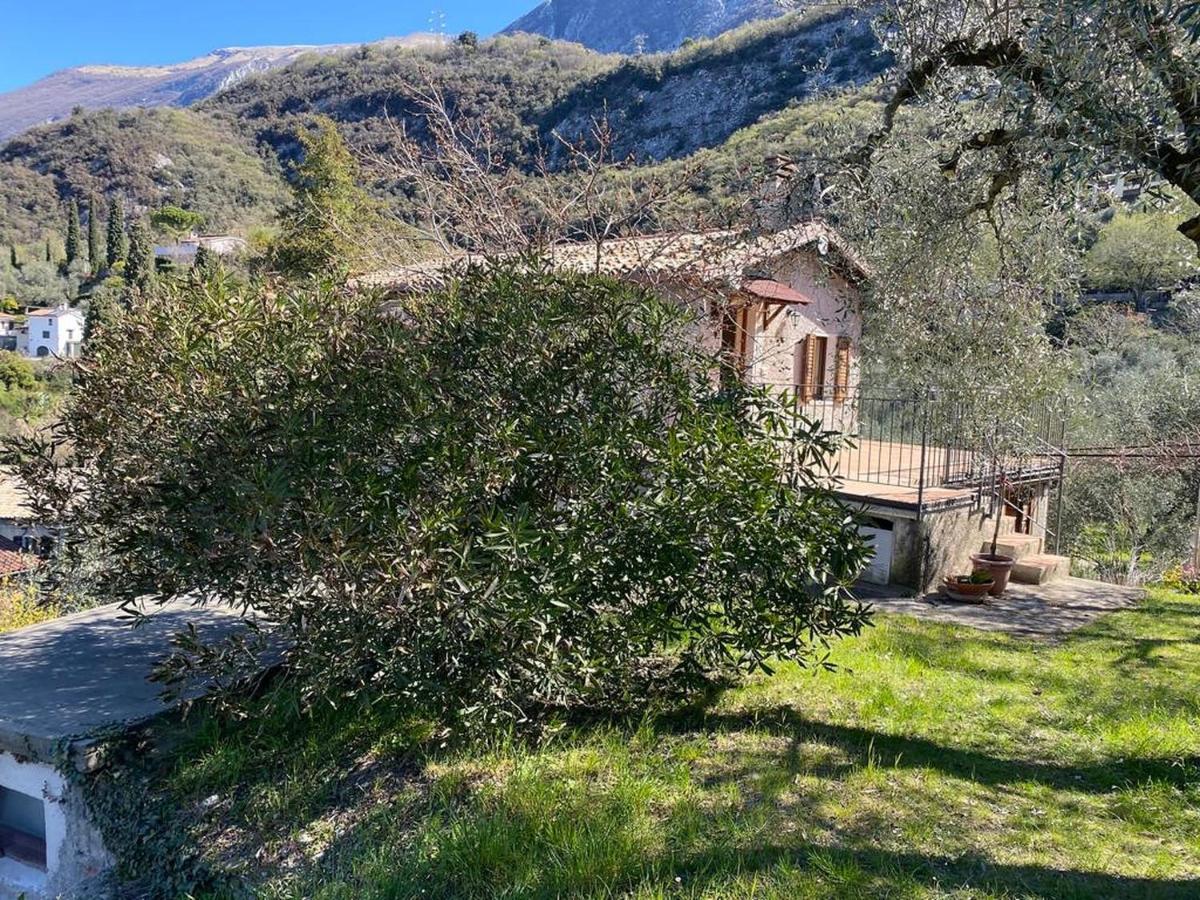 Olive Grove House Apartment Malcesine Exterior photo